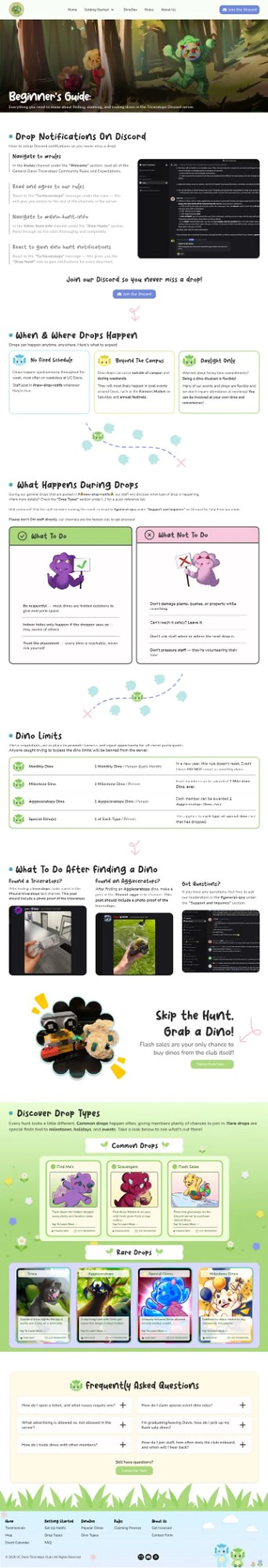 Final Beginner's Guide